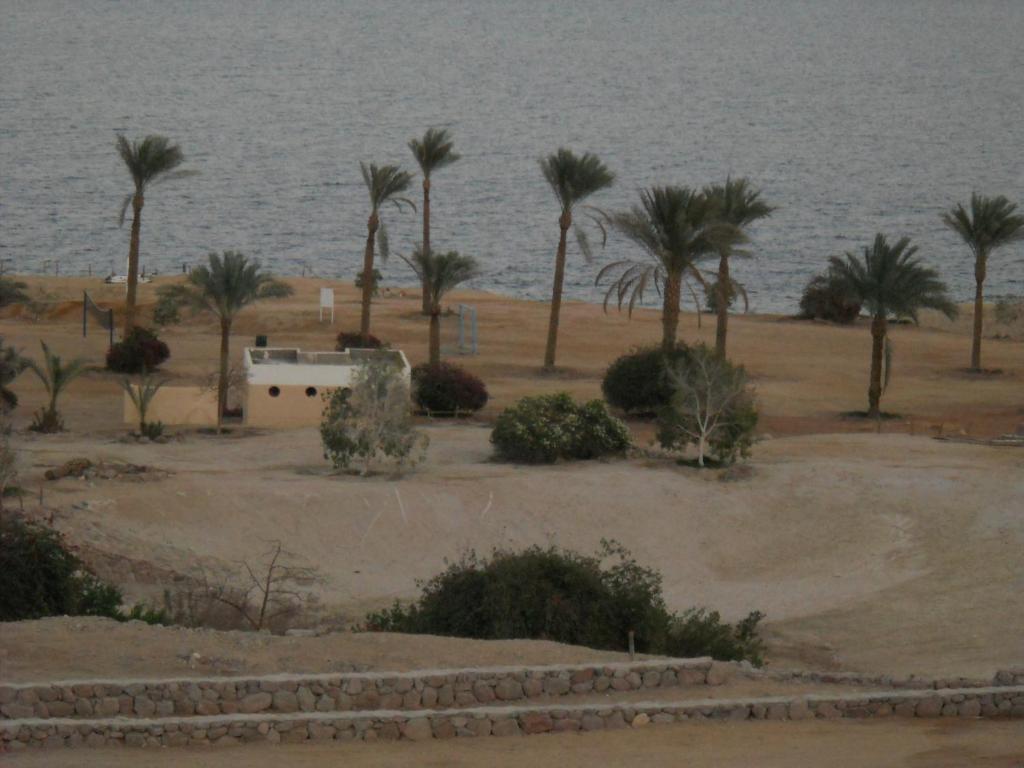 Royal Paradise Resort Шарм-эль-Шейх Экстерьер фото