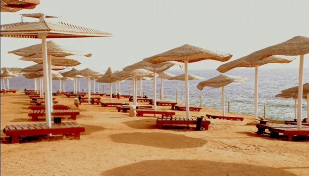 Royal Paradise Resort Шарм-эль-Шейх Экстерьер фото