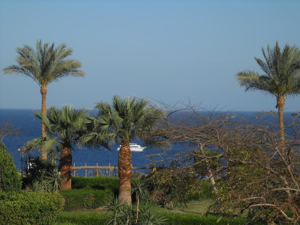 Royal Paradise Resort Шарм-эль-Шейх Экстерьер фото